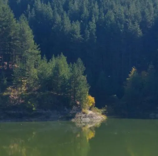 게스트하우스 Relax